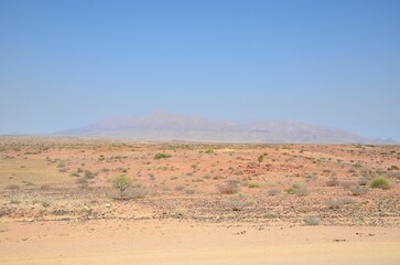Fototapeta na wymiar Landscape near Brandberg mountain, Namib desert