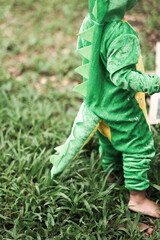 outdoor birthday party for small children wearing a very cute dinosaur costume. with a dinosaur themed birthday cake. under a big tree
