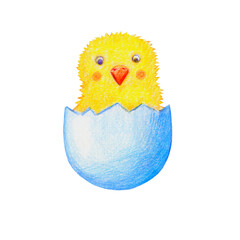 Cute character is a little yellow chicken in half an egg, hand-drawn with colored pencil