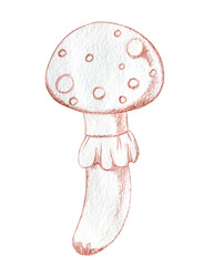 Cartoon fly agaric, poisonous mushroom, vintage illustration, hand-drawn, sketch, line