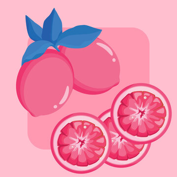 Fruit illustration in viva magenta color