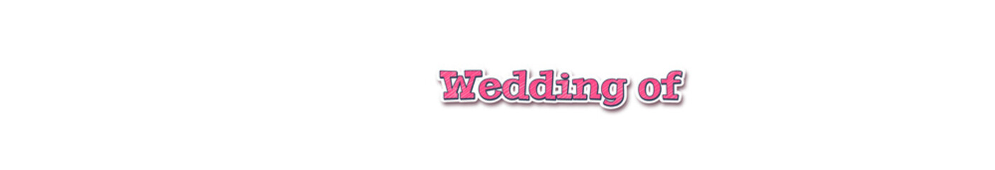 Wedding of Sticker typography banner with transparent background