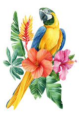 Parrot macaw with flowers and palm leaves, exotic birds on isolated white background. Watercolor hand drawn illustration