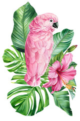 Pink Parrot with hibiscus flowers and palm leaves, exotic birds on isolated background. Watercolor illustration. Cockatoo