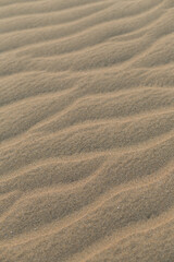Fototapeta na wymiar waves of sand formed by the wind in the desert
