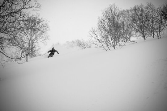 A man weaves his way through some trees in Niseko, Japan