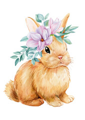 spring bunny with magnolia flowers , baby cat on isolated background. Watercolor hand drawn illustration