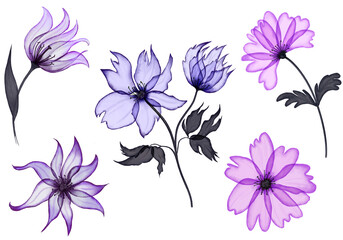 X-Ray Watercolor Purple and Pink Flowers. For design of invitations, greeting cards