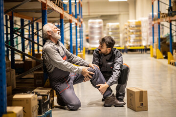 Fototapeta na wymiar Warehouse situation, young worker comes to help senior worker, he got injured when carring heavy boxes
