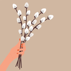 Hand holding Easter bouquet, Pussy willow. Vector illustration