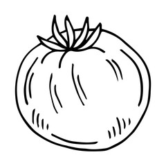 Tomato. Graphics. Illustration. Vector.