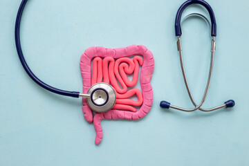 Human intestines colon organ shape. Bowel disease concept