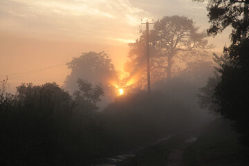 Morning rural landscape with fog.