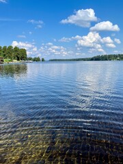 Green reeds at the lake, beautiful lake view, blue sky with white clouds