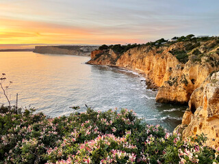 Amazing view of flowers and cliffs by sunset in Lagos, Portugal.