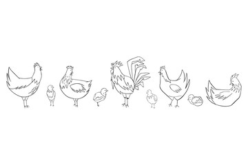 The full pack of sketch easter chickens and chicks.