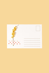 Empty post card with blank stamp back side with yellow mimosa flower sticked with red heart duct tape on yellow background with copy space. Saint Valentine template, romantic mock up.
