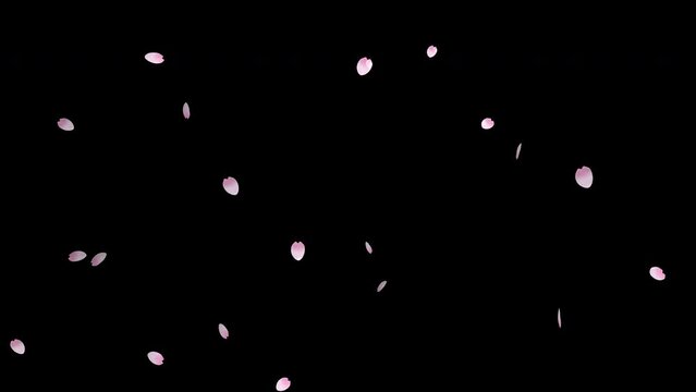 桜の花びら花吹雪アニメーション素材 合成素材・桜の花びらパーティクル・背景透過映像素材