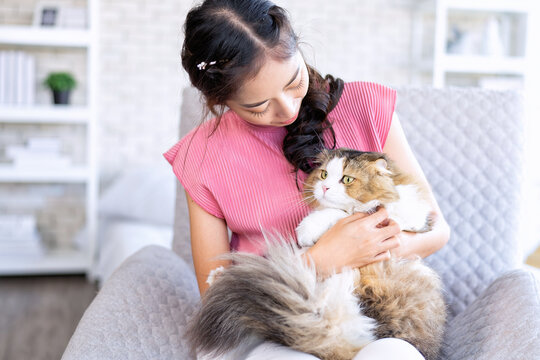 Young beautiful cat lover woman sitting on sofa hug her lovely cat on hands