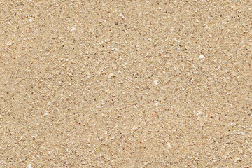 Sun shines to wet sand on beach - seamless tileable texture