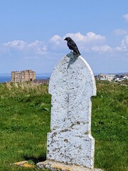 statue with bird