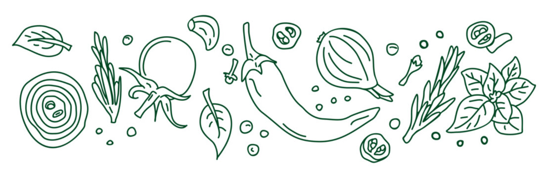 Banner. Spices and vegetables background. Vector background with handmade herbs. Sketch design. 