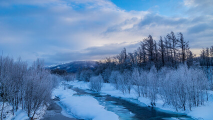 Obraz na płótnie Canvas 凍てつく川と霧氷した木　冬の北海道