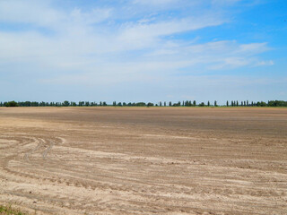 Plowed field in early spring and trees on the horizon.