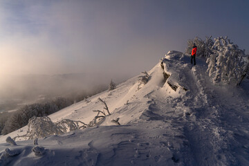Fototapeta Bieszczady, Połonina Wetlińska, góry , zima, karpaty obraz