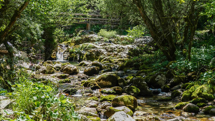Fototapeta premium Wanderung am Lepena Bachlauf im Triglav Nationalpark in Slowenien