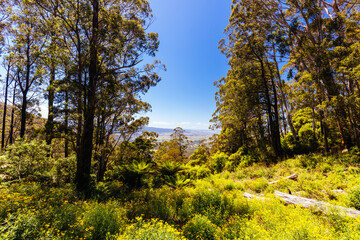 Fototapeta premium Fred Piper Memorial Lookout inAustralia