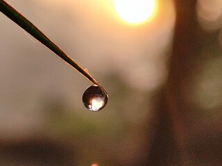 water droplet silhouette 