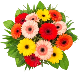  PNG Gerbera flowers bouquet isolated transparent background © LiliGraphie