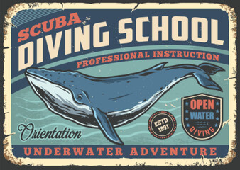 Diving school poster vintage colorful