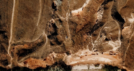 pregnant girl and boyfriend on high hills