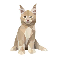 Vector illustration of low-poly polygonal cat body. Ginger Maine Coon cat breed is sitting. Isolated on white.  Veterinary, shop, children, kids, print concept.