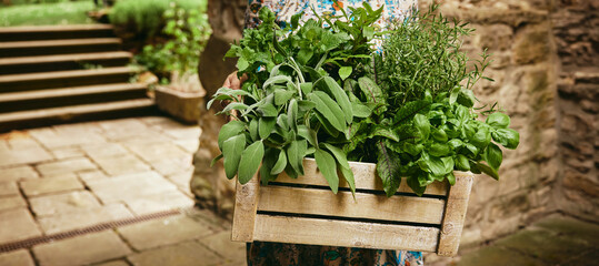 Anonymous gardener with assorted greens