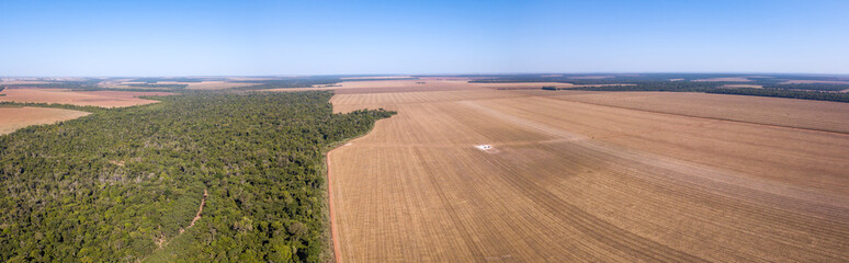 Drone panoramic aerial view of illegal amazon deforestation, Mato Grosso, Brazil. Forest trees and agriculture field land. Concept of climate change, global warming, ecology, environment, nature.
