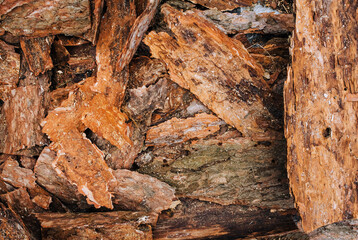 Background, texture of pieces of peeled brown pine, coniferous dry bark. Photography, top view, concept, copy space.