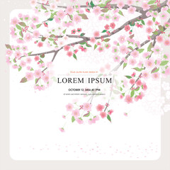 Vector editorial design frame of Korean spring scenery with cherry trees in full bloom. Design for social media, party invitation, Frame Clip Art and Business Advertisement