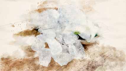 Artificial drawing of Crystal clear alum cubes