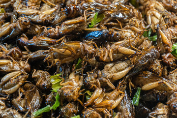 marco boiled insect with vegetable on asian food