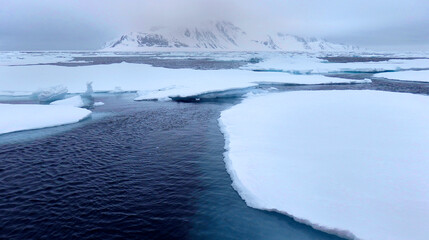 Drift floating Ice and Snowcapped Mountains, Iceberg, Ice Floes, Albert I Land, Arctic, Spitsbergen, Svalbard, Norway, Europe