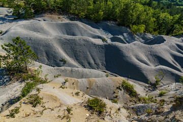 A beautiful wonder of nature - the Istrian desert, with trees in the background and the beautiful...