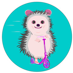 hedgehog on a scooter