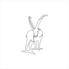 Simple line hand drawn mountain goat ibex