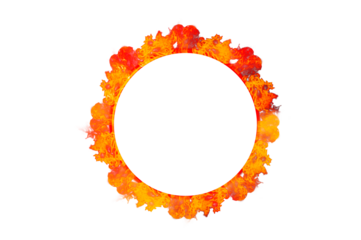 circle frame orange flame isolated on transparent background PNG file