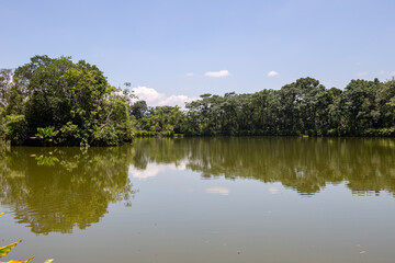 Fototapeta na wymiar Burle Marx park - City Park, in São José dos Campos, Brazil. Beautiful lake with typical trees