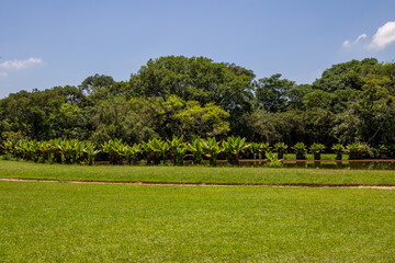 Burle Marx park - City Park, in São José dos Campos, Brazil. Beautiful lake with typical trees