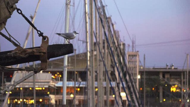 A seagull sits on the mast of a ship.